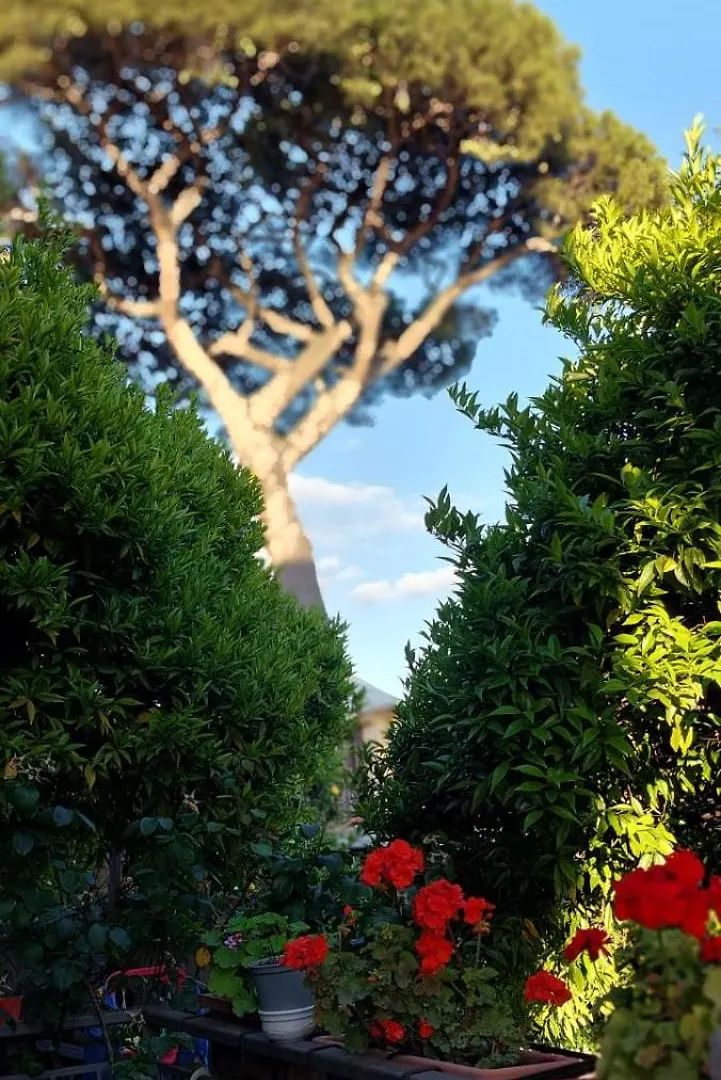 Daddy House Apartment San Giorgio a Cremano 0*,  Italy