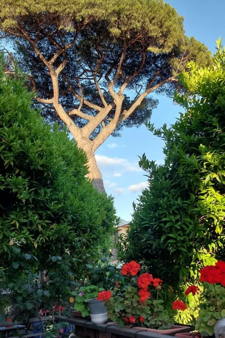 Daddy House Apartment San Giorgio a Cremano